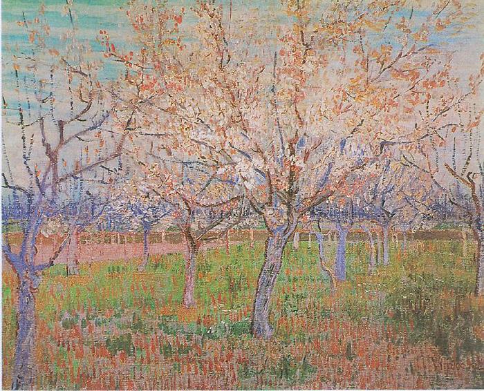 Vincent Van Gogh Orchard with flowering apricot-trees